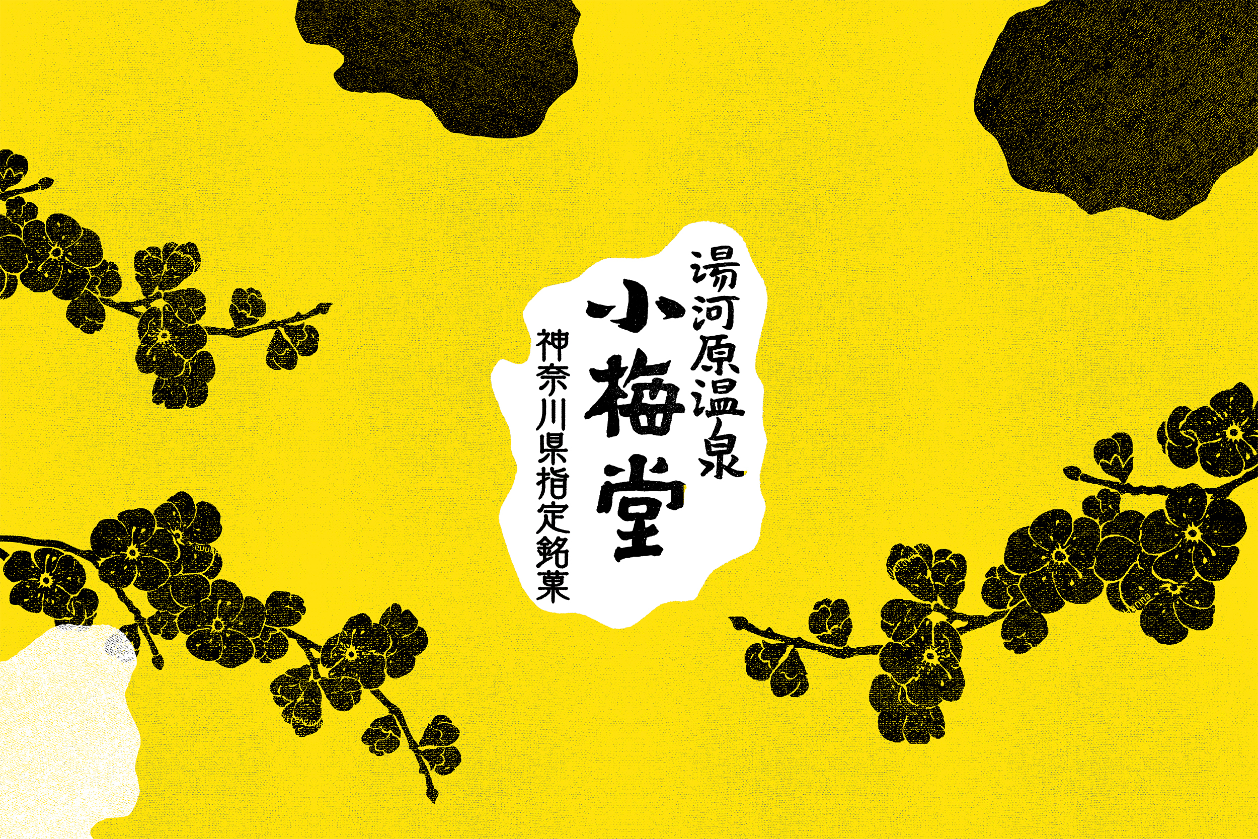 湯河原温泉 小梅堂 神奈川県指定銘菓